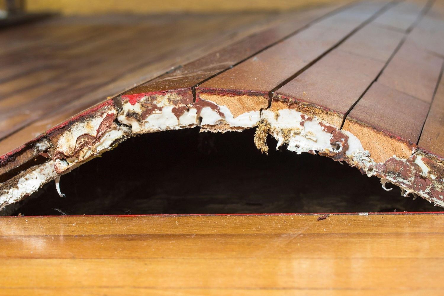 A close-up view of warped wooden floorboards featuring a large gap, revealing underlying layers from water damage.